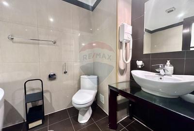 Apartament 3 camere de inchiriat - Cartierul Francez - 10