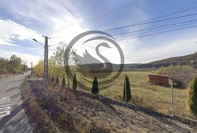 Teren de 26908 mp, în Iedera - 4