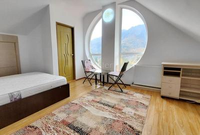 Priveliste Panoramica Muntii Bucegi - 19