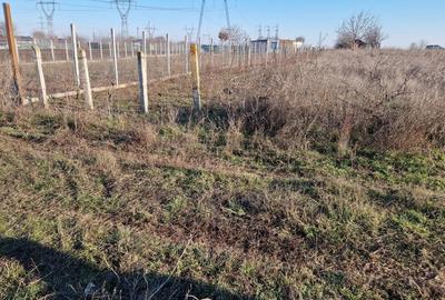 Teren de 900 mp, în Albina - 1