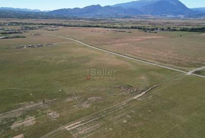 Teren extravilan Rasnov - 6