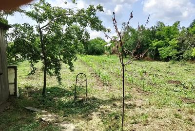 Casă cu 3 camere cu Teren 1400 Mp în Tudor Vladimirescu - 2