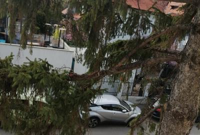 Casă individuală cu 9 camere cu Canalizare în Floreasca - 4