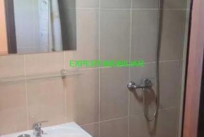 Garsonieră, mobilată în Apărătorii Patriei - 7
