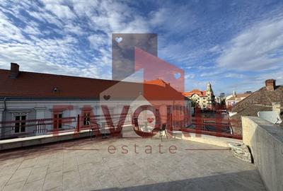 COMISION 0%. Spatiu de inchiriat in centrul Timisoarei. Disponibil imediat - 3