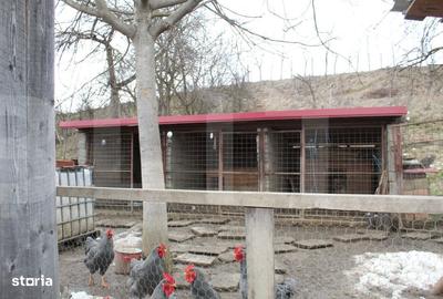 Casă cu 5 camere cu Teren 1337 Mp în Belin - 1