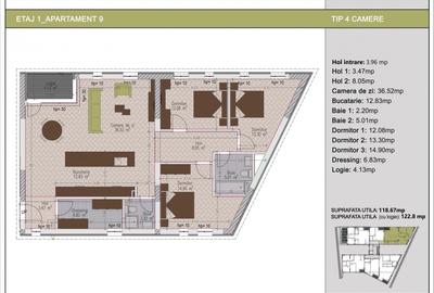 Apartament cu 4 camere decomandat în Nerva Traian - 11