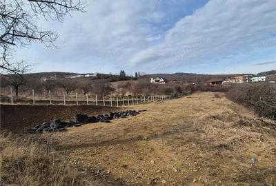 Teren de 3000 mp, în Nord