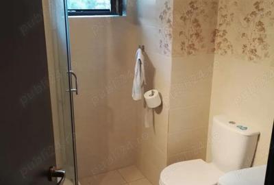 Apartament cu 2 camere semidecomandat în Calea Călărașilor - 8