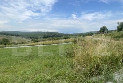 Teren de vanzare zona Subcetate, aproape de str. Tarp - 5