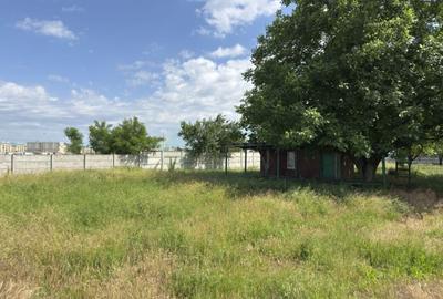 Teren Construcții intravilan de 1500 mp, în Tunari - 9
