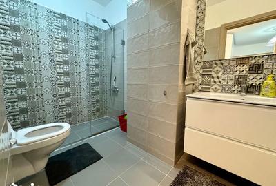 Apartament cu 2 camere, mobilat în Tudor Vladimirescu - 10