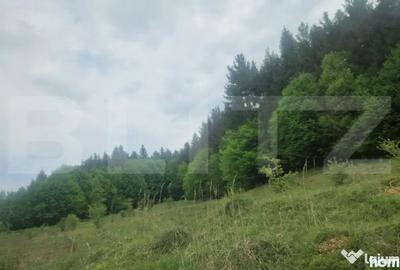 Teren în Dumbrăvița - 3