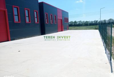 Spațiu comercial, de 550 mp, în Frumușani - 13