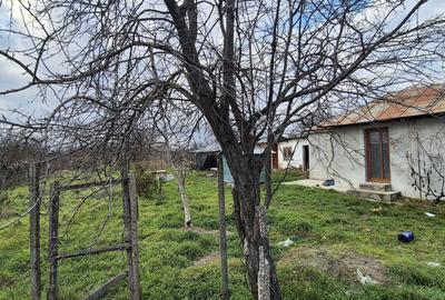 Casă cu 2 camere în Central - 1