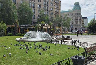 Apartament cu 2 camere decomandat, mobilat în Central - 8