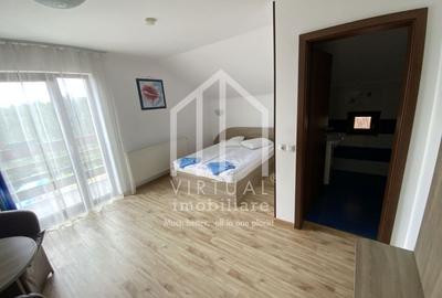 Pensiune de vanzare in Paltinis- Locatie deosebita- Afacere la cheie - 32