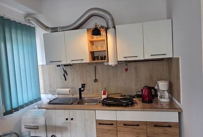 Apartament cu 2 camere în Mogoșoaia - 1