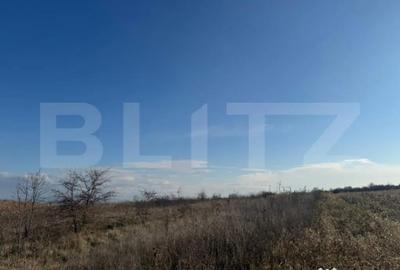 Teren de 1700 mp, în Zăvoi - 1