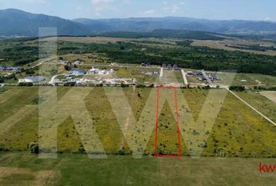 Teren intravilan 5100 mp, Cisnadie - ideal pentru investitie Teren intravilan 5100 mp, Cisnadie - ideal pentru investitie - 3