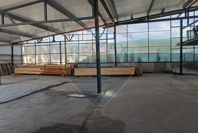 Spațiu industrial, 400 mp în Șura Mare