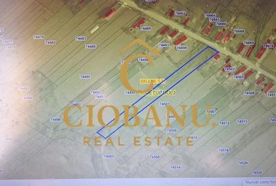 Teren Intravilan/Extravilan de vanzare in Bradestii Batrani Teren Intravilan/Extravilan de vanzare in Bradestii Batrani - 11