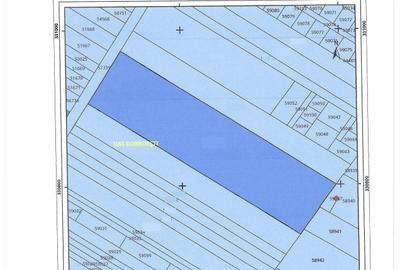 Teren Construcții intravilan de 25000 mp, în Dobroești - 4