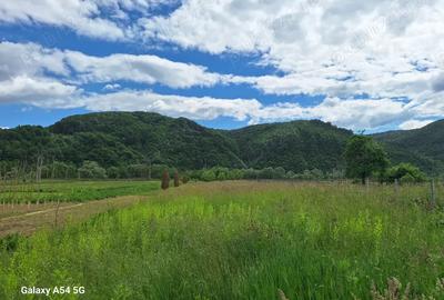 Casă cu 3 camere în Rebrișoara - 5