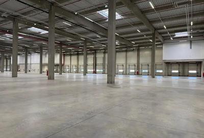 Hala suprafe?e disponibile 1.000-40.000mp - 1