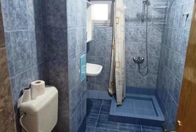 Garsonieră decomandată, mobilată în Nicolae Grigorescu - 6