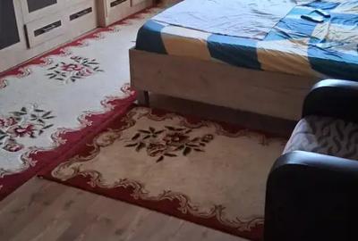 Casa de vanzare suceava ?erbane?ti - 3