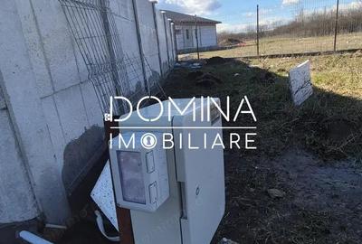 Teren de 1184 mp, în Drăguțești - 8