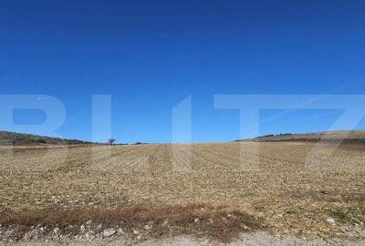 Teren extravilan, 17.000 mp, zona Almasu Mic - 3