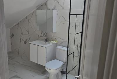 Anunț vânzare casă – P+M în Mogoșoaia - 13