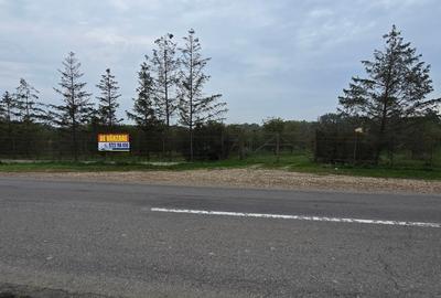 LIVADA  DE VANZARE FOCSANI-DUMBRAVITA  1,8  HA - 22
