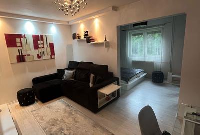 Apartament cu 2 camere semidecomandat în Șagului