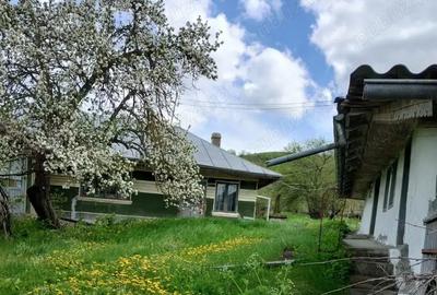 Vand casa si teren in Oltenesti, jud Vaslui - 1