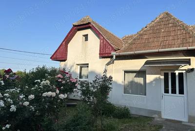 Casa de vanzare in Viisoara - 1