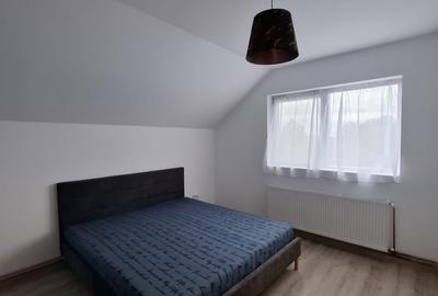 Casă individuală cu 5 camere cu Canalizare în Carani - 13