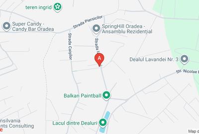 Teren Construcții intravilan de 3875 mp, în Dealuri Oradea - 1