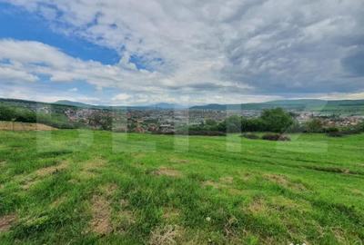 Teren de 1000 mp, în Centura