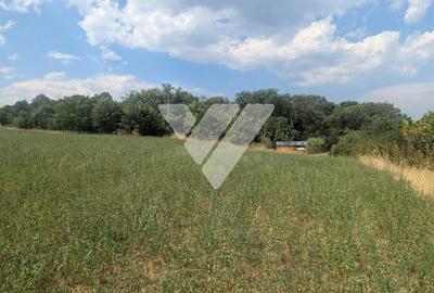 Teren intravilan 1670 mp cu vedere spre lacuri Ocna Sibiului - 8