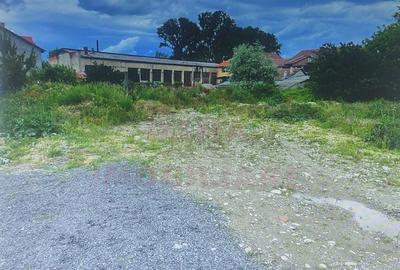 TEREN INTRAVILAN DE VÂNZARE 465 MP\ CARANSEBEȘ\ ZONA RACOVIȚEI - 5