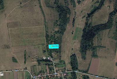 Teren de 4300 mp, în Bogda - 1