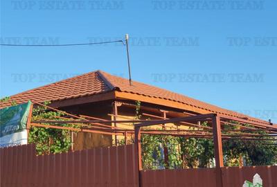 Casă cu 6 camere cu Teren 5470 Mp în Pantelimon - 6