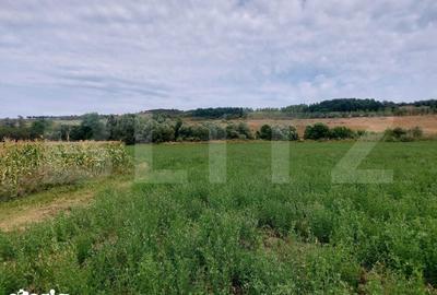 Teren de 27500 mp, în Iclod - 6