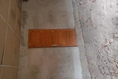 Casă cu 2 camere în Bârsa - 1