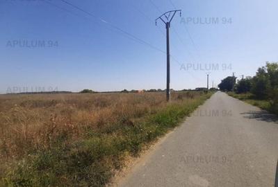 Teren pentru case in 1 Decembrie - 11