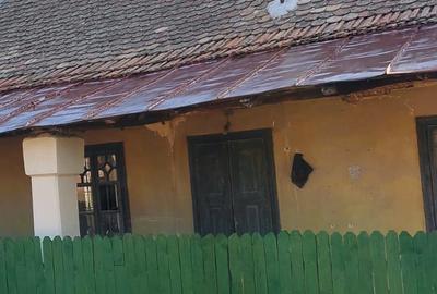 Casă cu 5 camere cu Teren 4000 Mp în Traian - 1