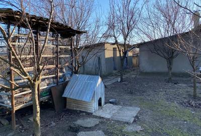 Casă cu 3 camere cu Teren 2040 Mp în Dragoș Vodă - 5